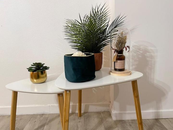 Comme Un Air De Provence A Blois Apartman Kültér fotó